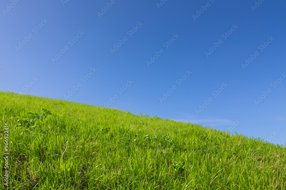 A grassy knoll slopes upwards against a bright blue sky. A grassy knoll slopes upwards against a bright blue sky.