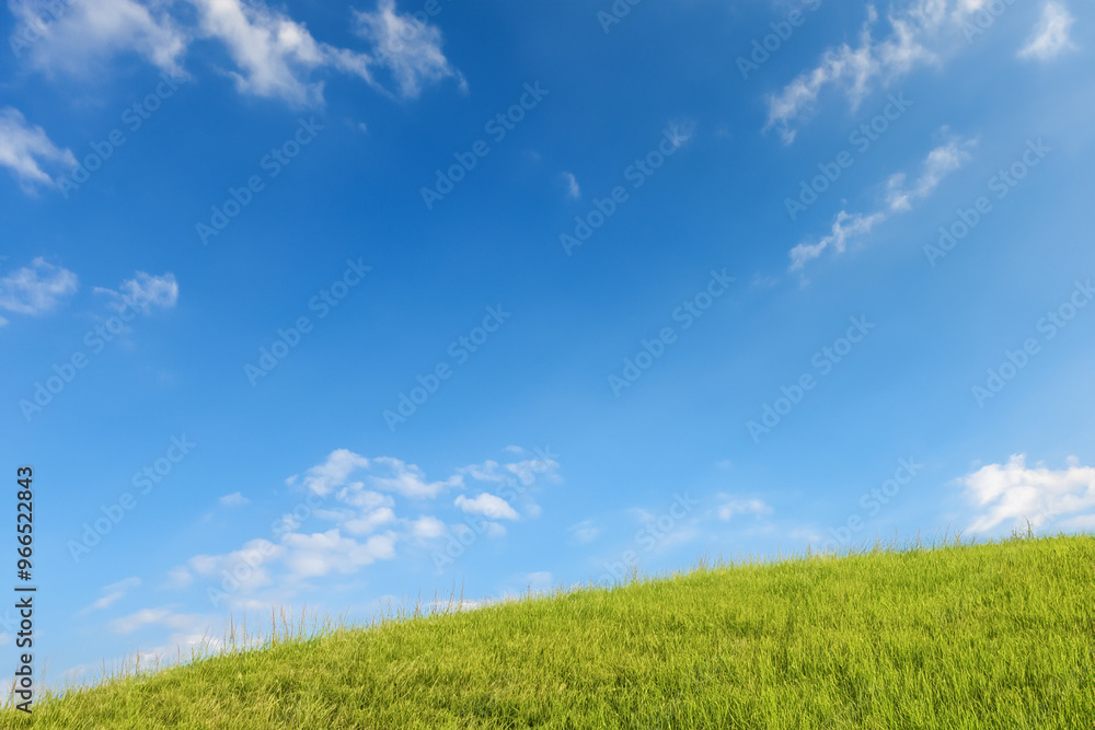 A green grassy hill under a bright blue sky with scattered white clouds. A green grassy hill under a bright blue sky with scattered white clouds.