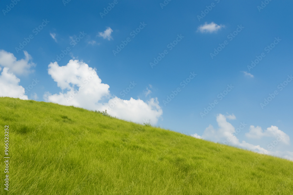 Lush green grass field with blue sky and white clouds. Lush green grass field with blue sky and white clouds.