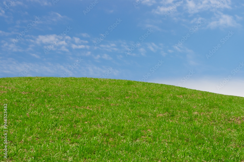 A grassy knoll under a bright blue sky with white fluffy clouds. A grassy knoll under a bright blue sky with white fluffy clouds.