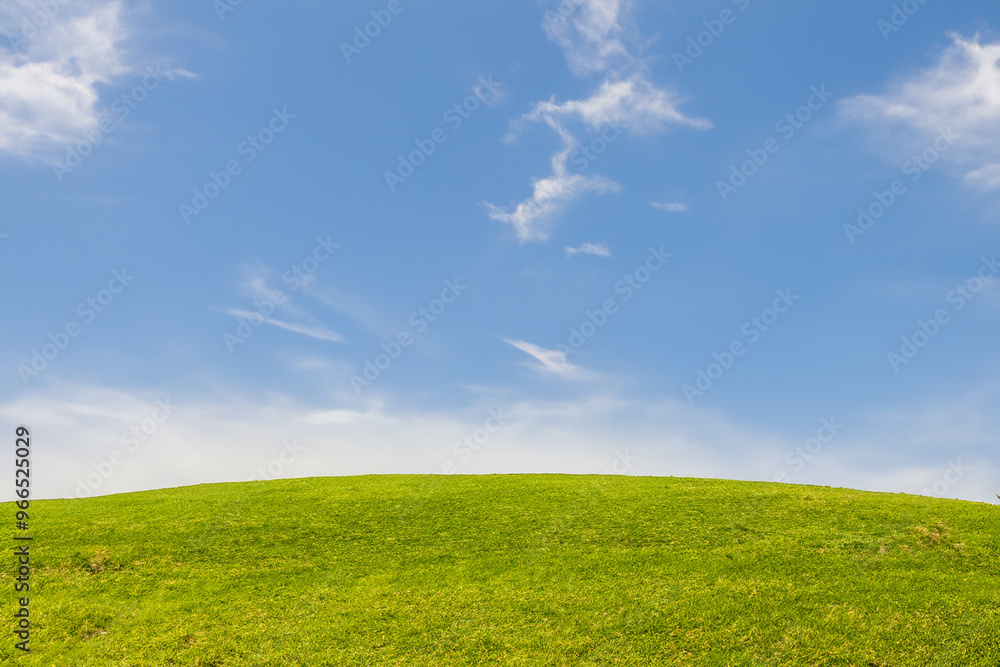 Lush green grassy hill under a bright blue sky with wispy white clouds. Lush green grassy hill under a bright blue sky with wispy white clouds.