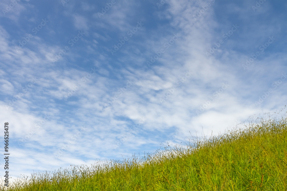 Green grass field against a blue sky with white clouds. Green grass field against a blue sky with white clouds.