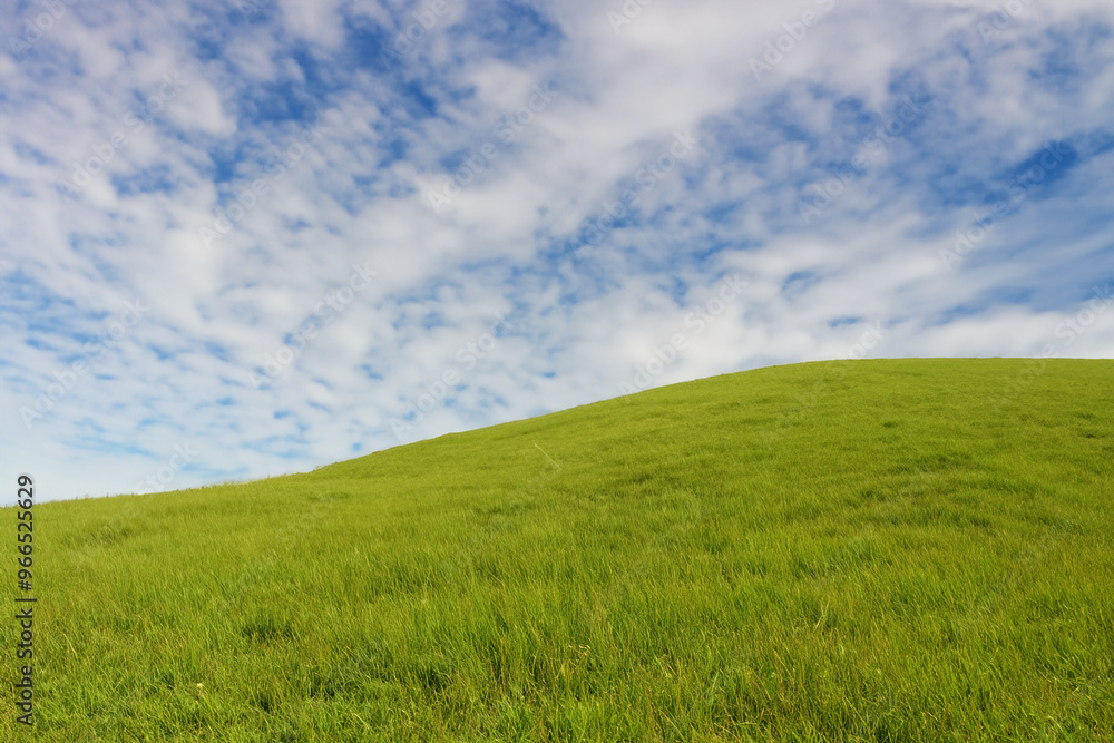 A verdant grassy hill slopes gently upward against a backdrop of a bright blue sky with scattered white clouds. A verdant grassy hill slopes gently upward against a backdrop of a bright blue sky with scattered white clouds.