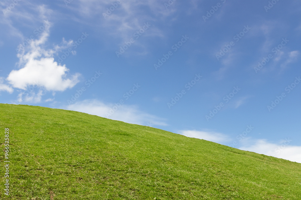 Green grassy hill against a blue sky with white clouds. Green grassy hill against a blue sky with white clouds.