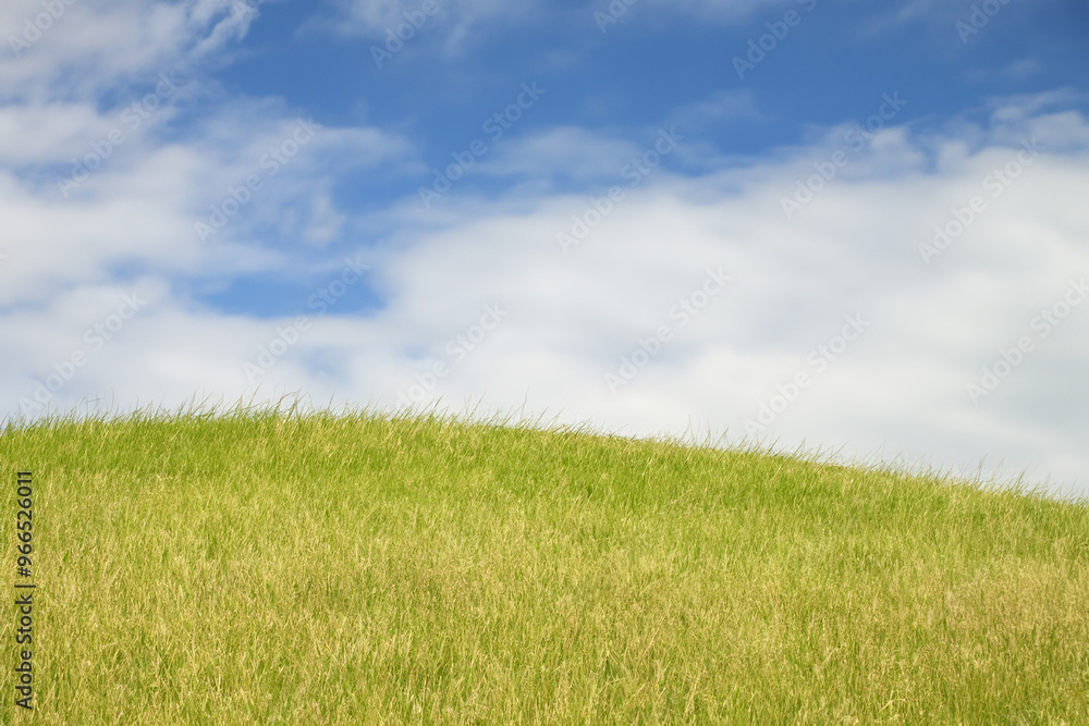 A grassy hill against a bright blue sky with puffy white clouds. A grassy hill against a bright blue sky with puffy white clouds.