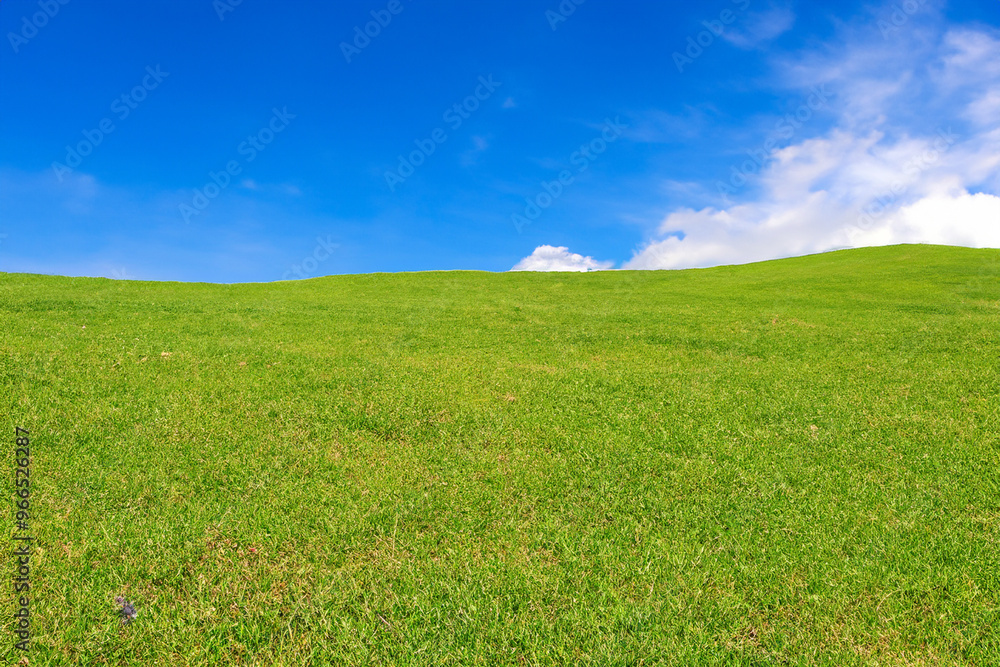 A lush green grassy hill under a bright blue sky with fluffy white clouds. A lush green grassy hill under a bright blue sky with fluffy white clouds.