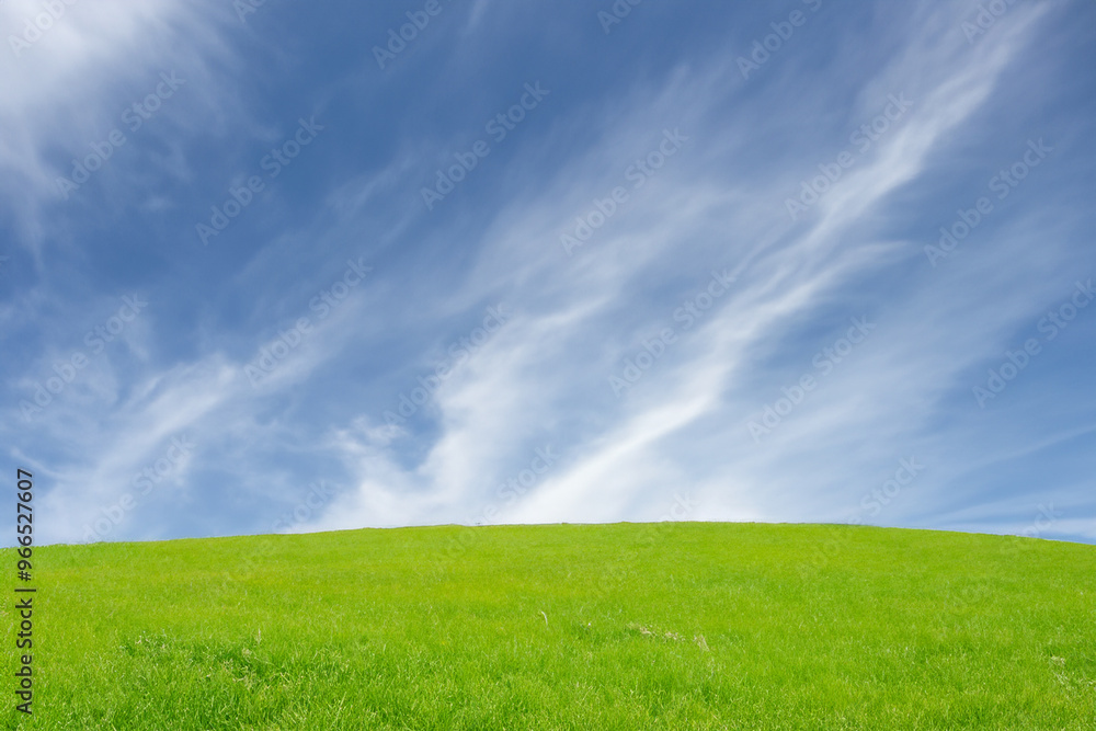 A rolling green grassy hill with wispy white clouds in a clear blue sky. A rolling green grassy hill with wispy white clouds in a clear blue sky.
