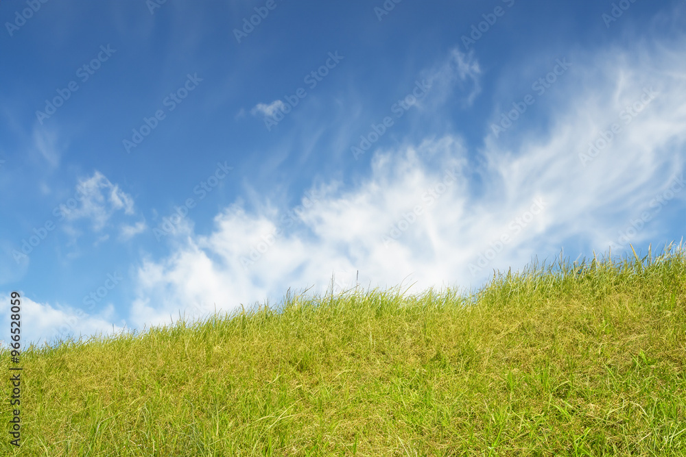Green grass field and blue sky with white clouds. Green grass field and blue sky with white clouds.