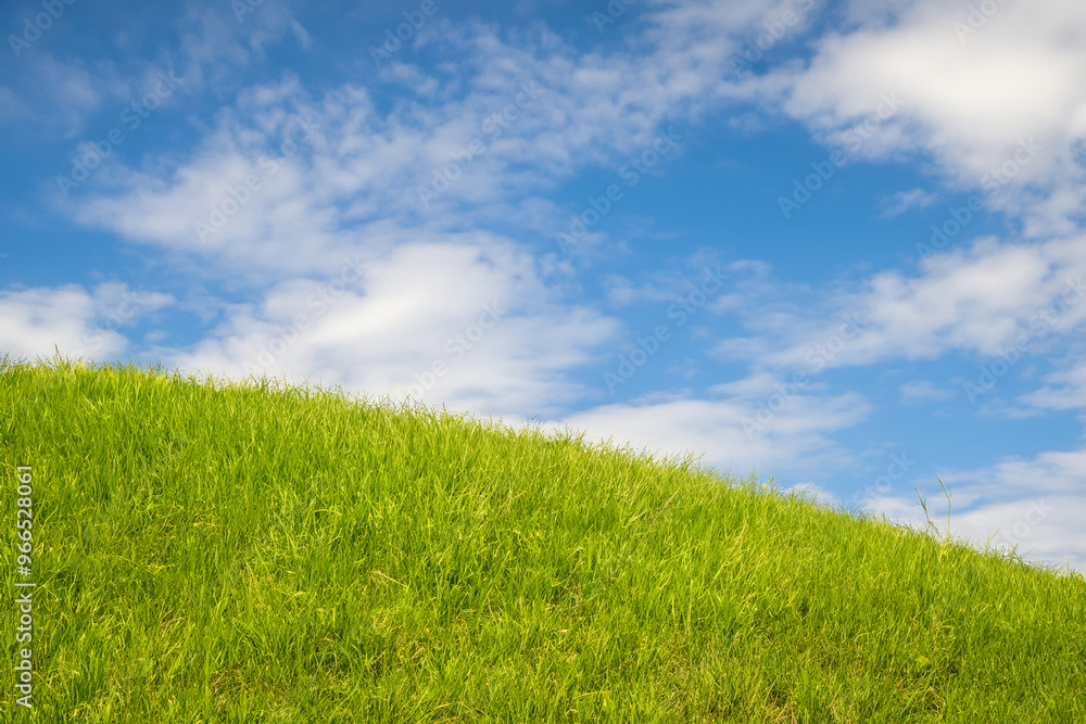 Lush green grass field against a bright blue sky with puffy white clouds. Lush green grass field against a bright blue sky with puffy white clouds.