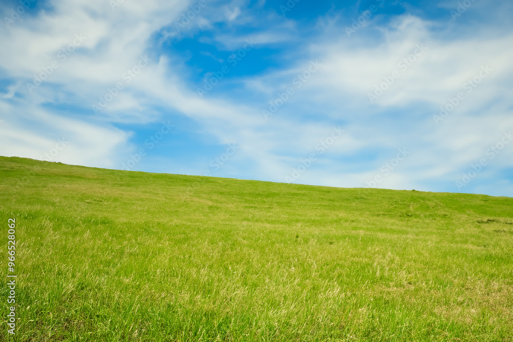 Lush green grass field under a bright blue sky with white fluffy clouds. Lush green grass field under a bright blue sky with white fluffy clouds.