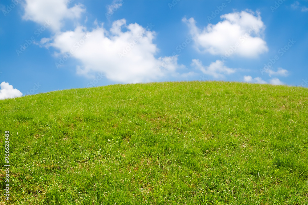 Green grassy hill with white fluffy clouds against a blue sky. Green grassy hill with white fluffy clouds against a blue sky.