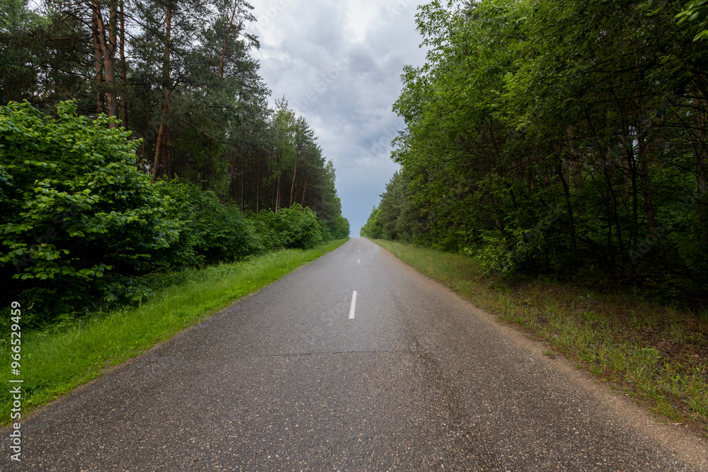 Fototapeta premium Wet rain field paved road in the forest