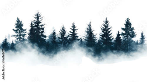 misty coniferous forest on a transparent background