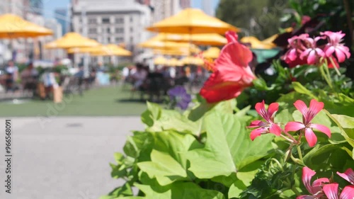 New York City, United States, Manhattan Midtown Broadway, 23 street, 5 avenue crossroad. Worth Square near Madison Park, Flatiron Building, USA. People on chairs, tables and umbrellas. Summer flowers.
