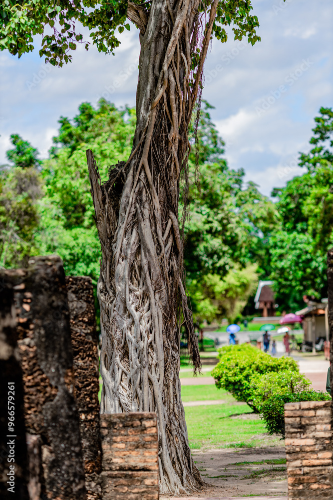 Fototapeta premium The background of one of the important tourist attractions in Sukhothai Historical Park, Wat Si Chum, has a large Buddha statue that is hundreds of years old for tourists to learn about its history.