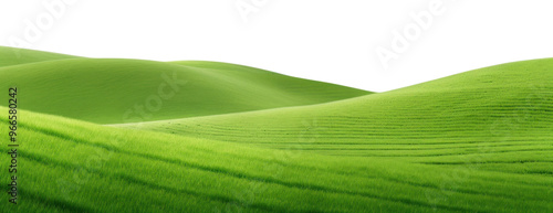PNG Landscape green backgrounds grassland.