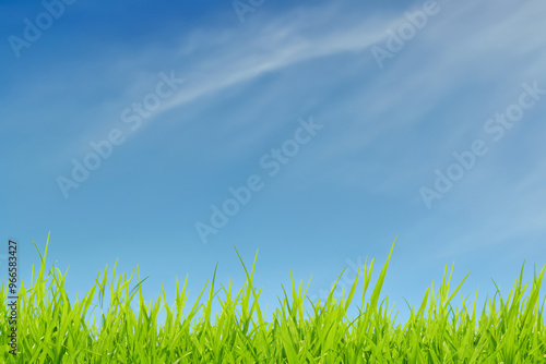 Green Grass and Blue Sky with White Wispy Clouds.