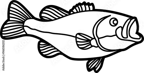 Bass fish illustration outline vector
