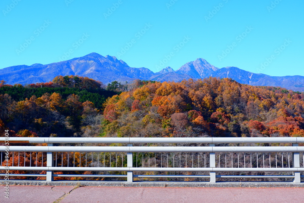Fototapeta premium 八ヶ岳を彩る美しい紅葉