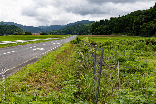 山へ続く道