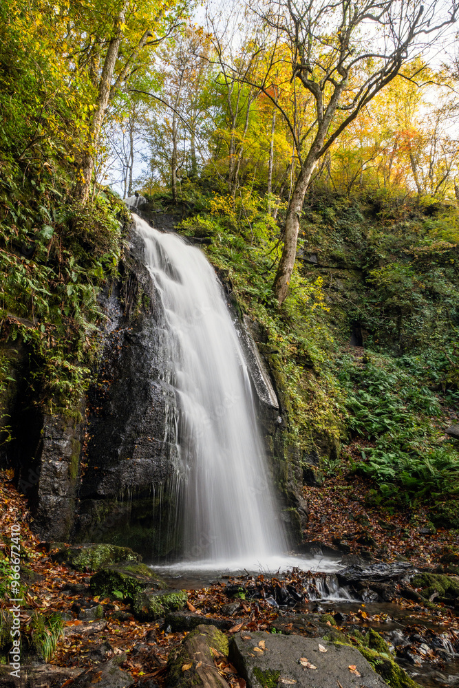 Obraz premium Kumoi No Taki (Kumoi waterfall) in the Oirase stream valley, Aomori, Tohoku, Japan.