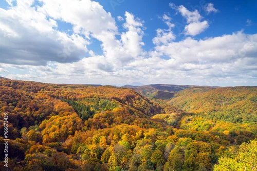 Obraz Beautiful autumn trees on the Shirakami mountainous in Aomori Tohoku Japan, the Jogakura location near Jogakura bridge