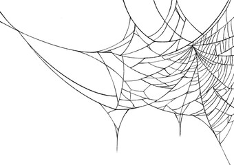 Halloween  spiderweb