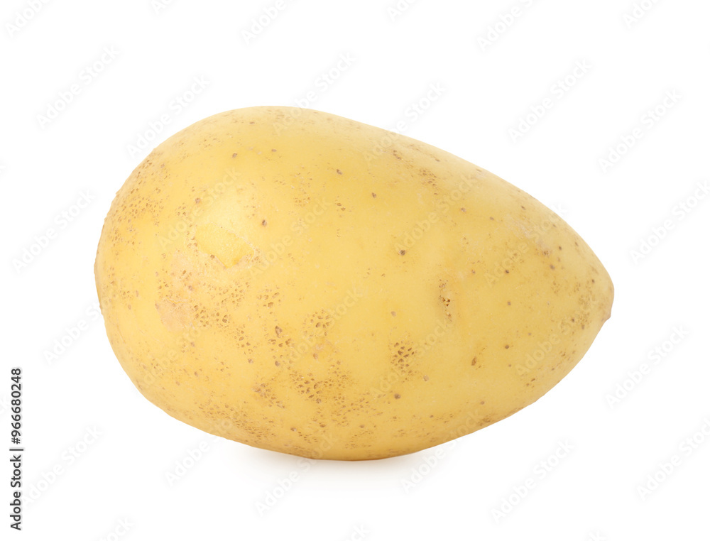 One fresh young potato isolated on white One fresh young potato isolated on white