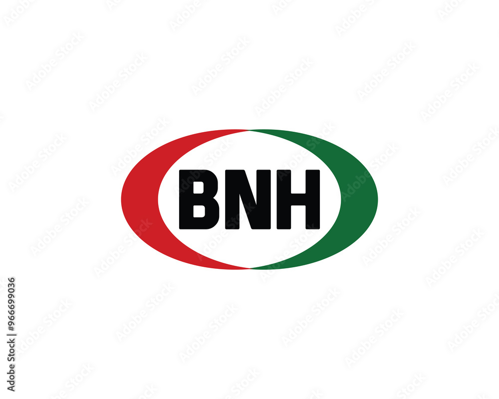 BNH logo design vector template. BNH