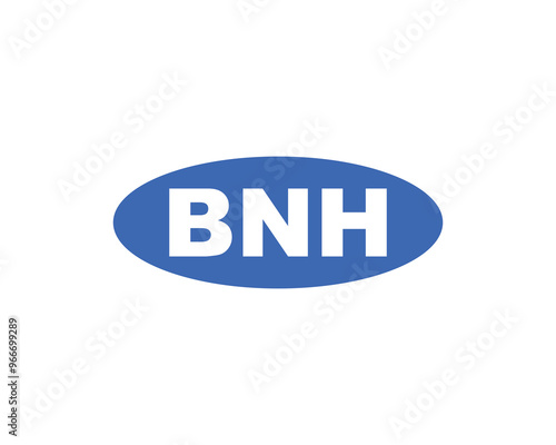 BNH logo design vector template. BNH photo