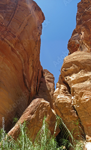 Looking up to the Siq slot canyon eroded stone walls photo