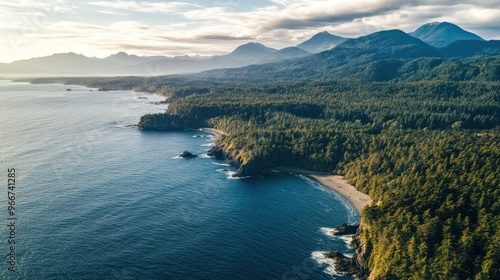 Aerial View of a Rugged Coastline with Lush Forest and Mountains