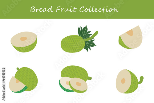 bread fruit collection in different poses. Vector illustration.