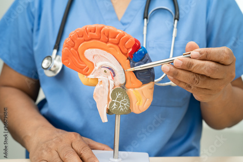 Alzheimer disease, Asian doctor holding brain anatomy model for study diagnosis and treatment in hospital. photo