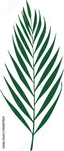 illustration of leaf 