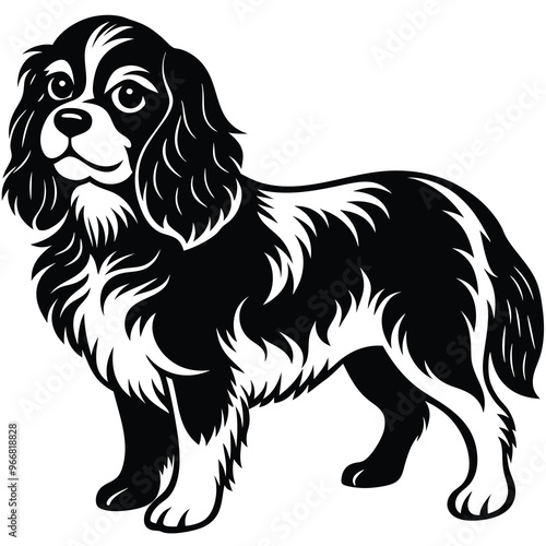 cute cavalier king charles spaniel dog