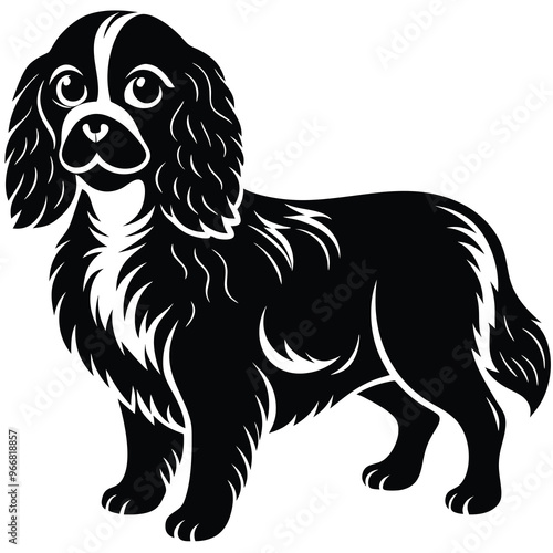 cute cavalier king charles spaniel dog