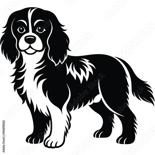cute cavalier king charles spaniel dog