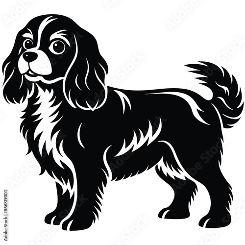 cute cavalier king charles spaniel dog