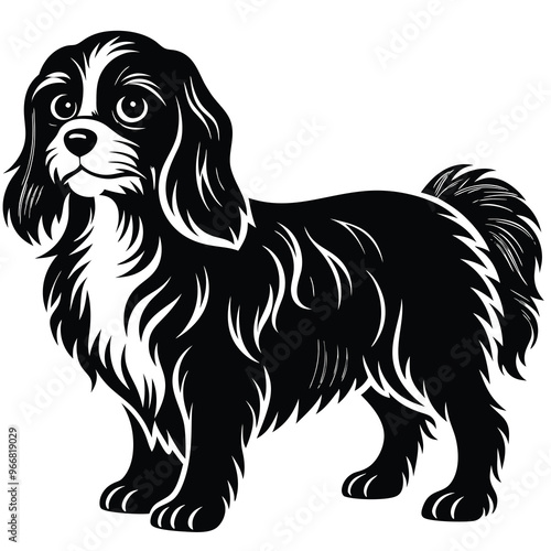 cute cavalier king charles spaniel dog