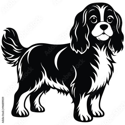 cute cavalier king charles spaniel dog