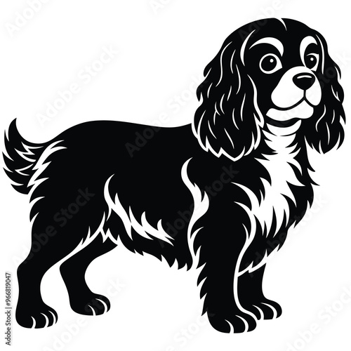 cute cavalier king charles spaniel dog