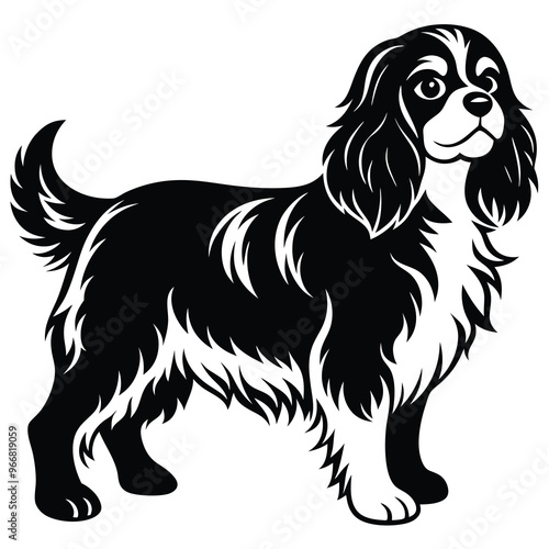 cute cavalier king charles spaniel dog