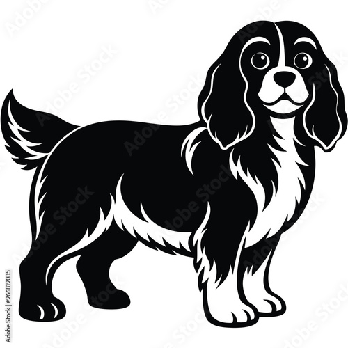cute cavalier king charles spaniel dog