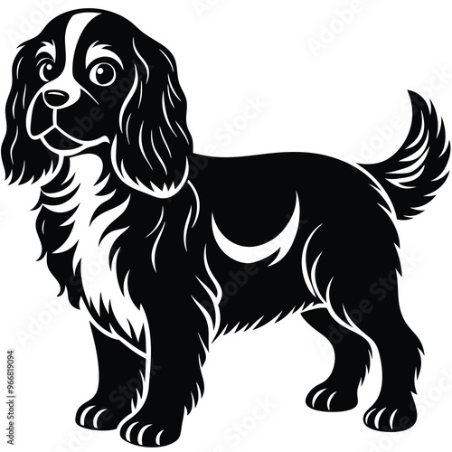 cute cavalier king charles spaniel dog