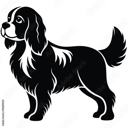 cute cavalier king charles spaniel dog