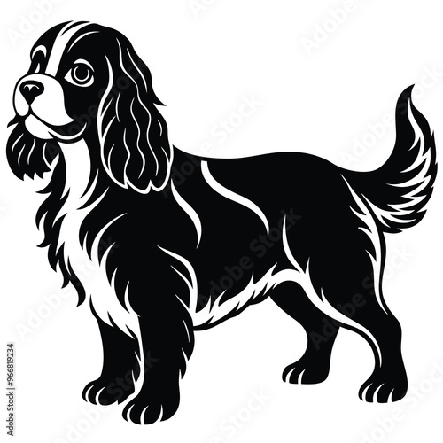 cute cavalier king charles spaniel dog