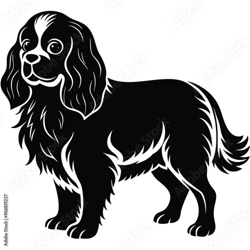 cute cavalier king charles spaniel dog