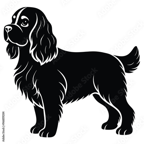 cute cavalier king charles spaniel dog