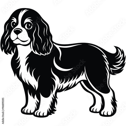cute cavalier king charles spaniel dog